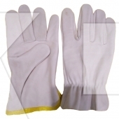 Driving Gloves