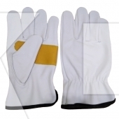 Driving Gloves