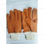 Beekeeping Gloves