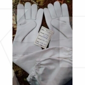 Beekeeping Gloves